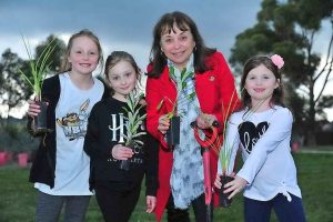 It’s all about the trees