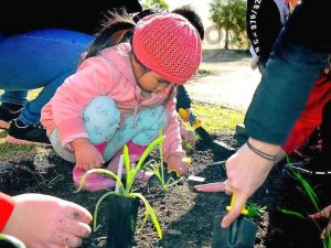Green thumbs welcome winter