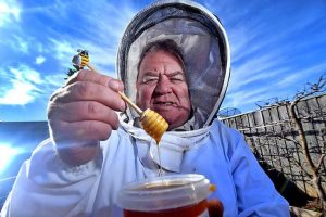 Get the buzz on beekeeping at Taylors Hill Neighbourhood House