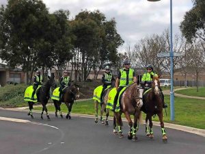 Taylors Hill ‘fight’ probed