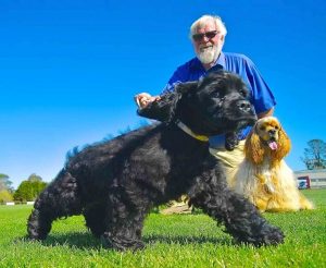 Pledge to unleash new dog parks