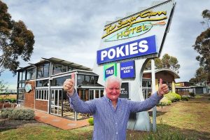 All sweet for Sugar Gum