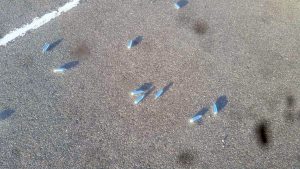 Canisters fuel drug concerns