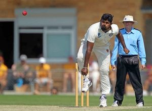 Sunshine shines and rises again