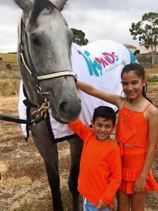 Galloper’s visit a school delight
