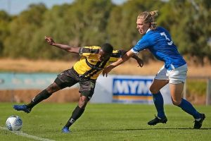 Lapses hobble Brimbank Stallions