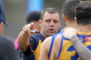 Dodgy pre-season gives way to Sunshine Kangaroos optimism