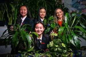 Sustainability in action