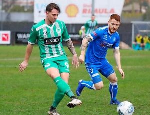 Green Gully draws on confidence to topple Avondale