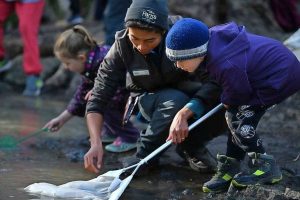 Boost for Parks Victoria’s junior ranger program