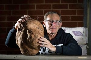 Pay dirt with giant spud