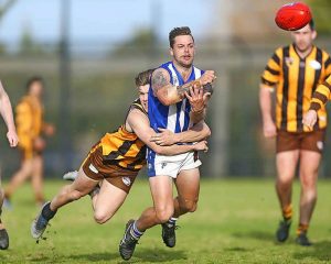 Albanvale snares its prey