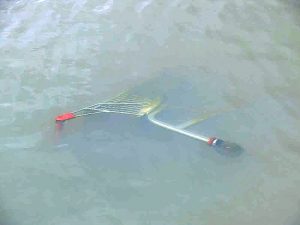 Push to end trolley folly