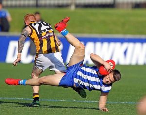 Albanvale falls at final hurdle