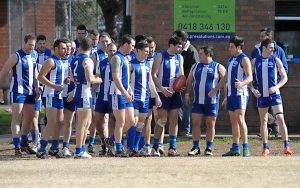 Cobras spit comeback venom