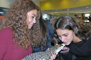 Italian student’s cultural ties with Taylors Lakes