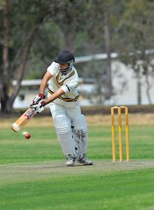 Tigers bare their teeth in bid to earn their stripes