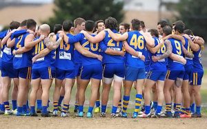 Chief wants Lions’ share