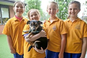 Compassion for animals not lost on pupils