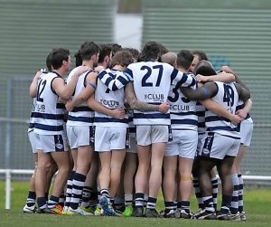 Promoted Falcons build up for life at the top