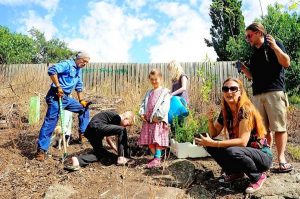 Friendly neighbourhood tree planting