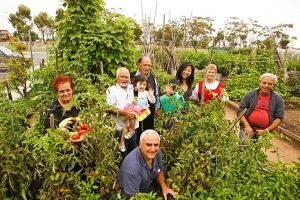 Brimbank Sustainable Living expo
