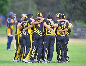 Tigers lick their wounds