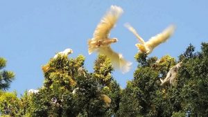 Melbourne’s west through the lens