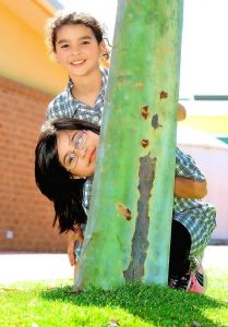 St Albans Primary’s schoolyard transformed