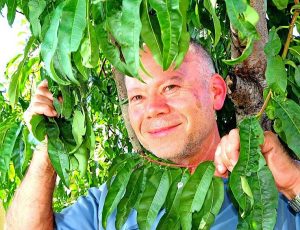 My Brimbank: Milan Gluhak