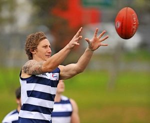 Super Cats stun Lions