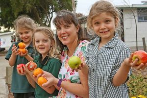 Healthy choices for school canteen menu