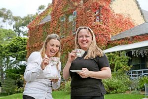 Overnewton Castle to host charity high tea